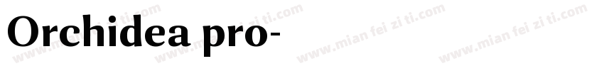 Orchidea pro字体转换